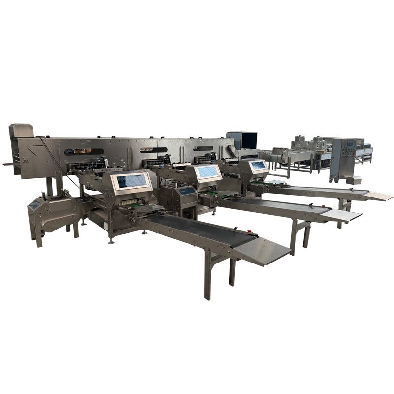 Egg Packing Machine
