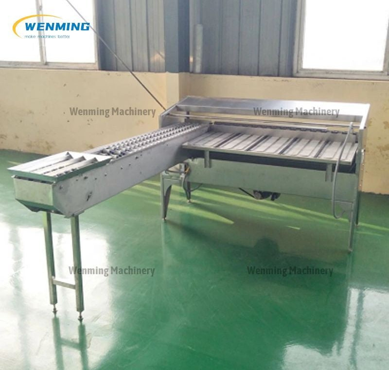 Egg Packaging Machine