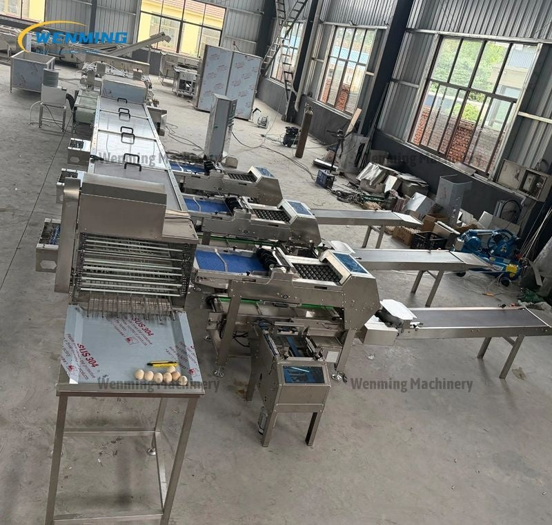Egg Sorting And Packaging Machine