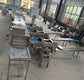 Egg Sorting And Packaging Machine