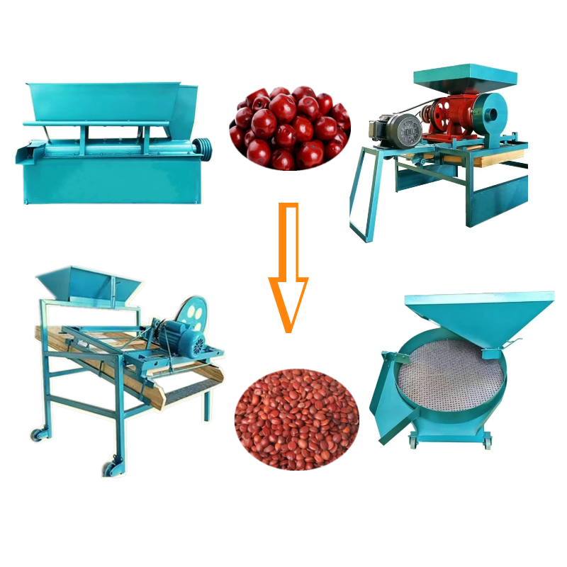 Dates Seed Remover Machine