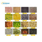 Oil Press Machine