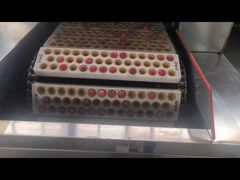 Automatic Cherry Pitting Machine