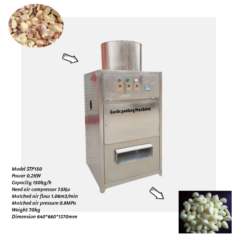 Commercial Garlic Peeler Machine