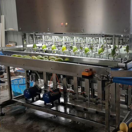 Industrial 16 Heads Mango Peeler Machine – WM machinery