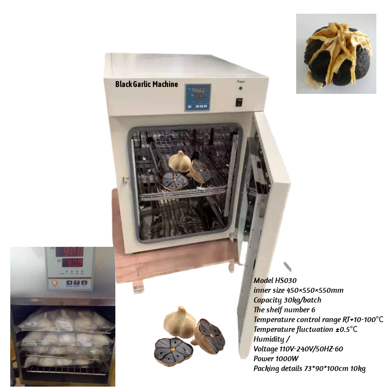 black garlic maker