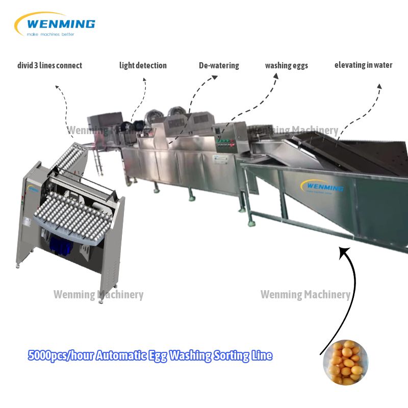 5400pcs/h Egg Washing-Sorting-Production Line – WM machinery