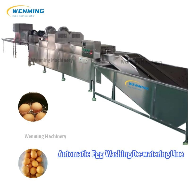 Automatic Egg Washer Machine 2000pcs per hour Wenming Machinery – WM  machinery