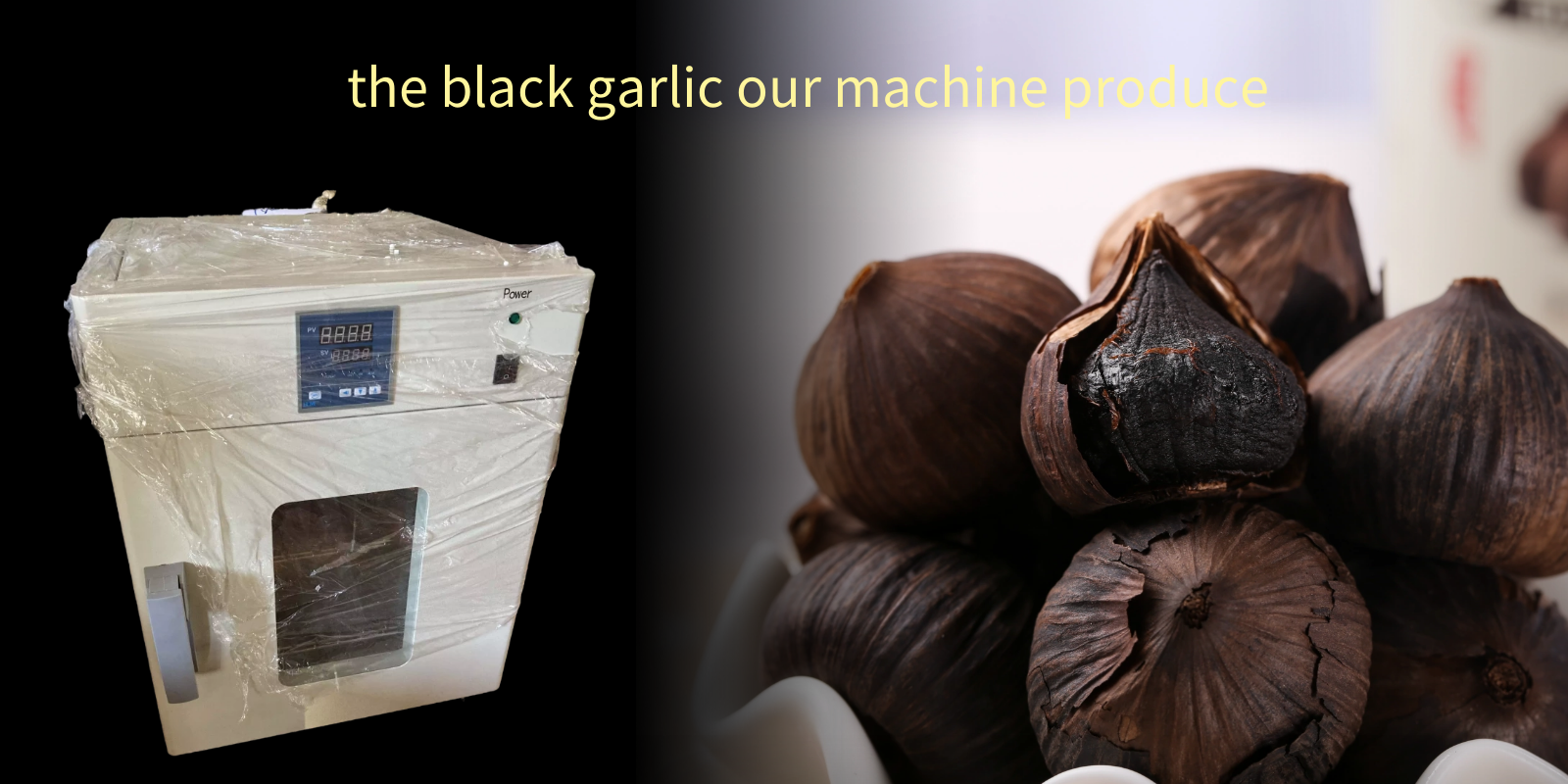 Black-Garlic-maker
