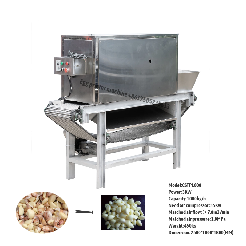 Automatic Garlic Peeler machine