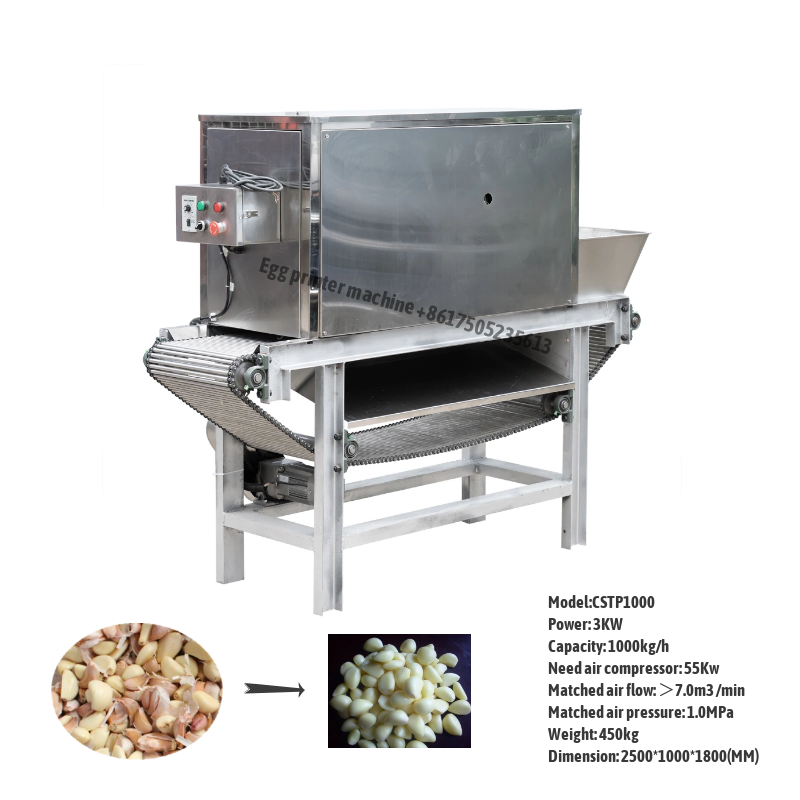 Chain-type-Garlic-Peeler-Machine