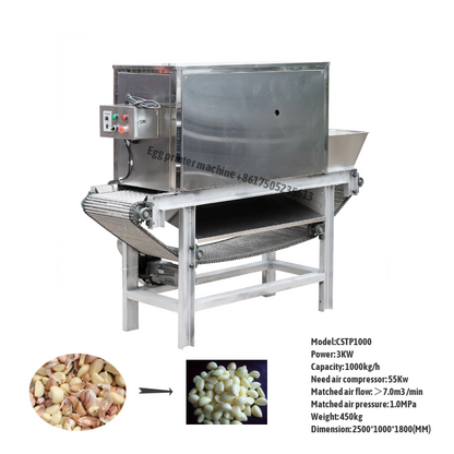 Garlic Peeling Machine