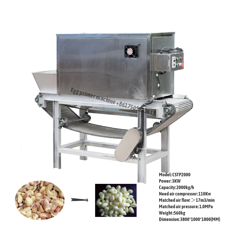 Chian type Garlic Peeler machine
