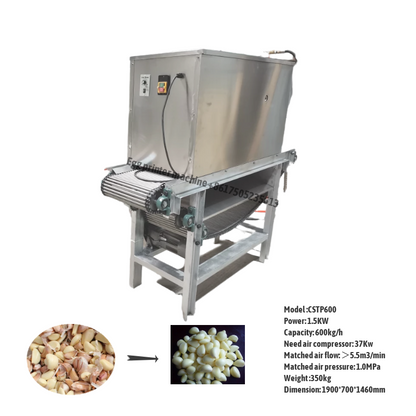 Chain type Garlic Peeling Machine