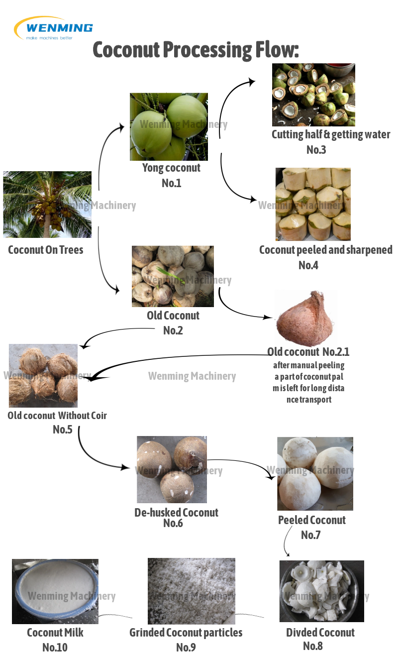 Coconut Processing Machines-Wenming Machinery – WM machinery
