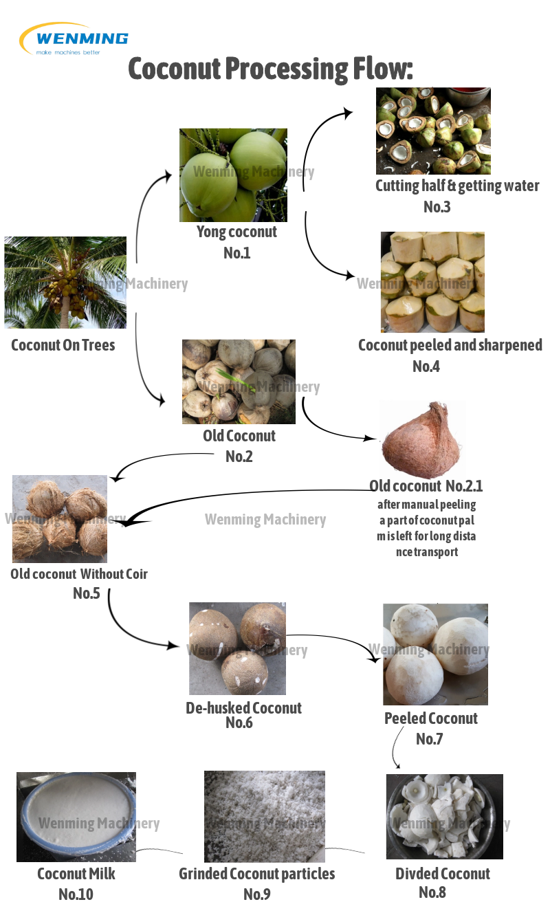Coconut-Processing