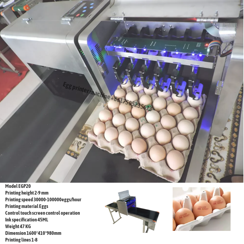 Source Automatic Expiry Date Printer For Egg / Chicken Egg Date