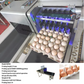 commercial printing-eggs