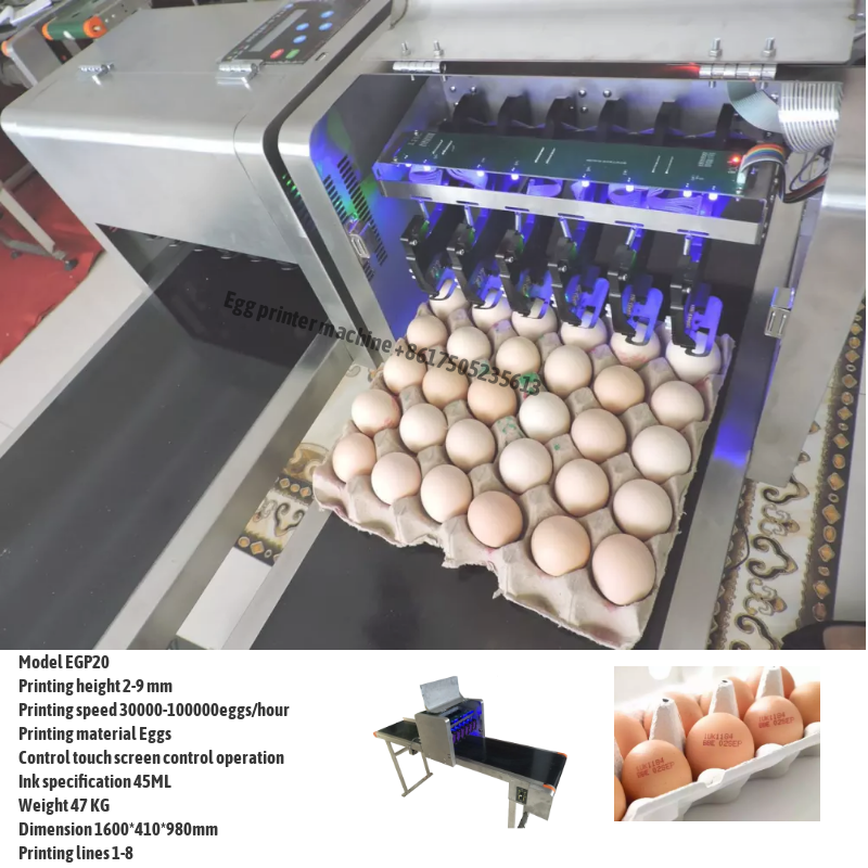 Egg Printing Machine