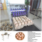 Egg Printing Machine