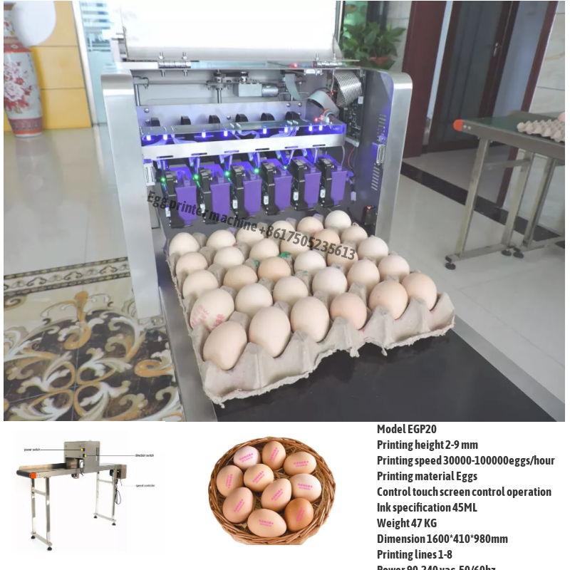Egg Printer Machine