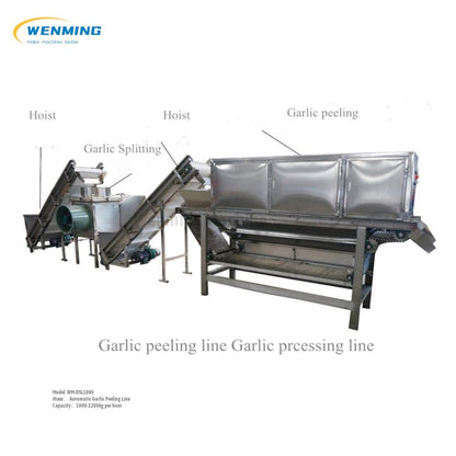 Garlic-Processing-line_614