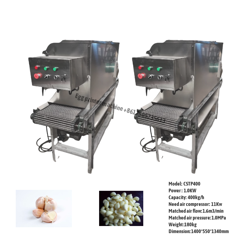 Garlic Peeling Machine line Industrial Garlic Peeling Production Line – WM  machinery