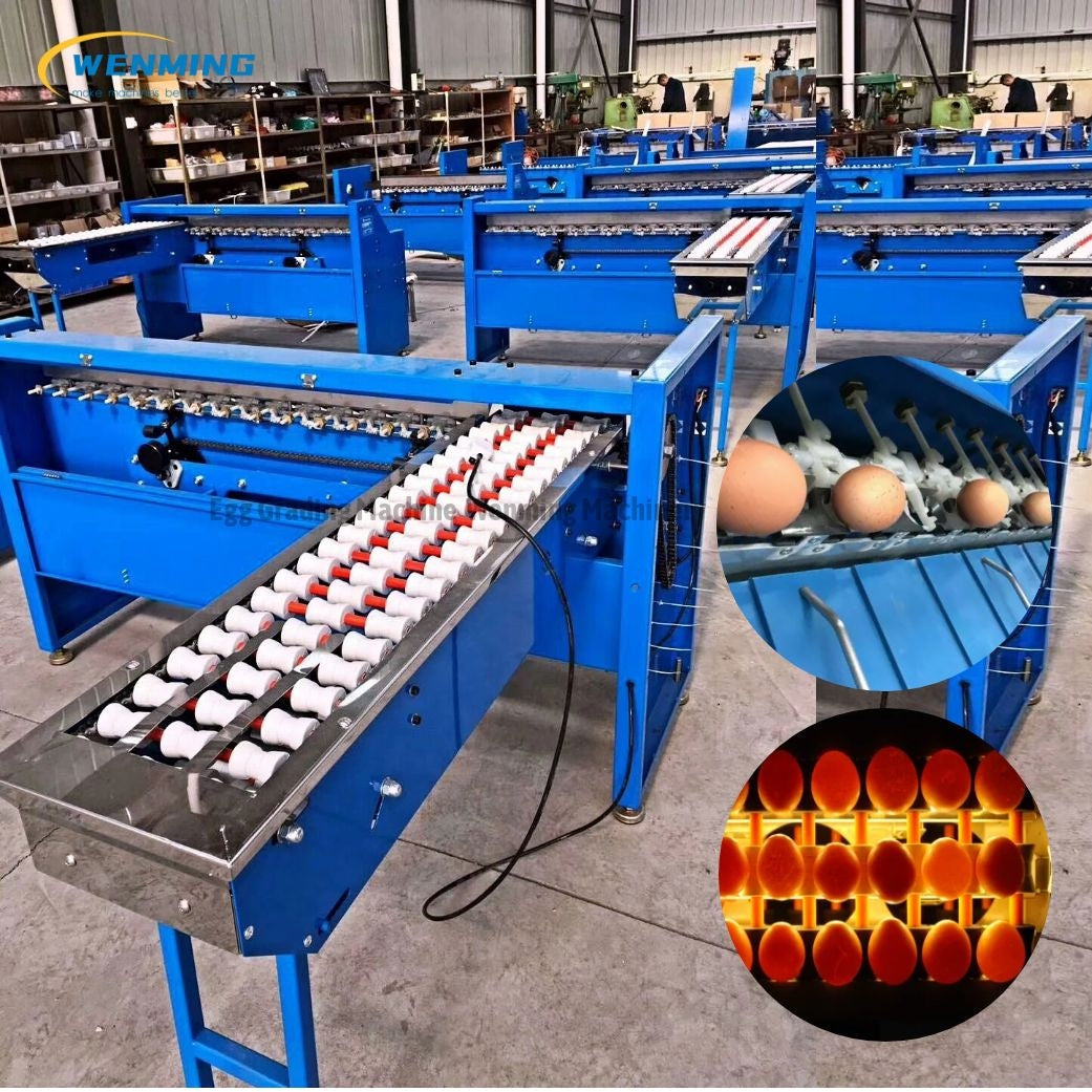 Automatic Table Egg Sorting Machine Egg Grader Sorter by Weight – WM ...
