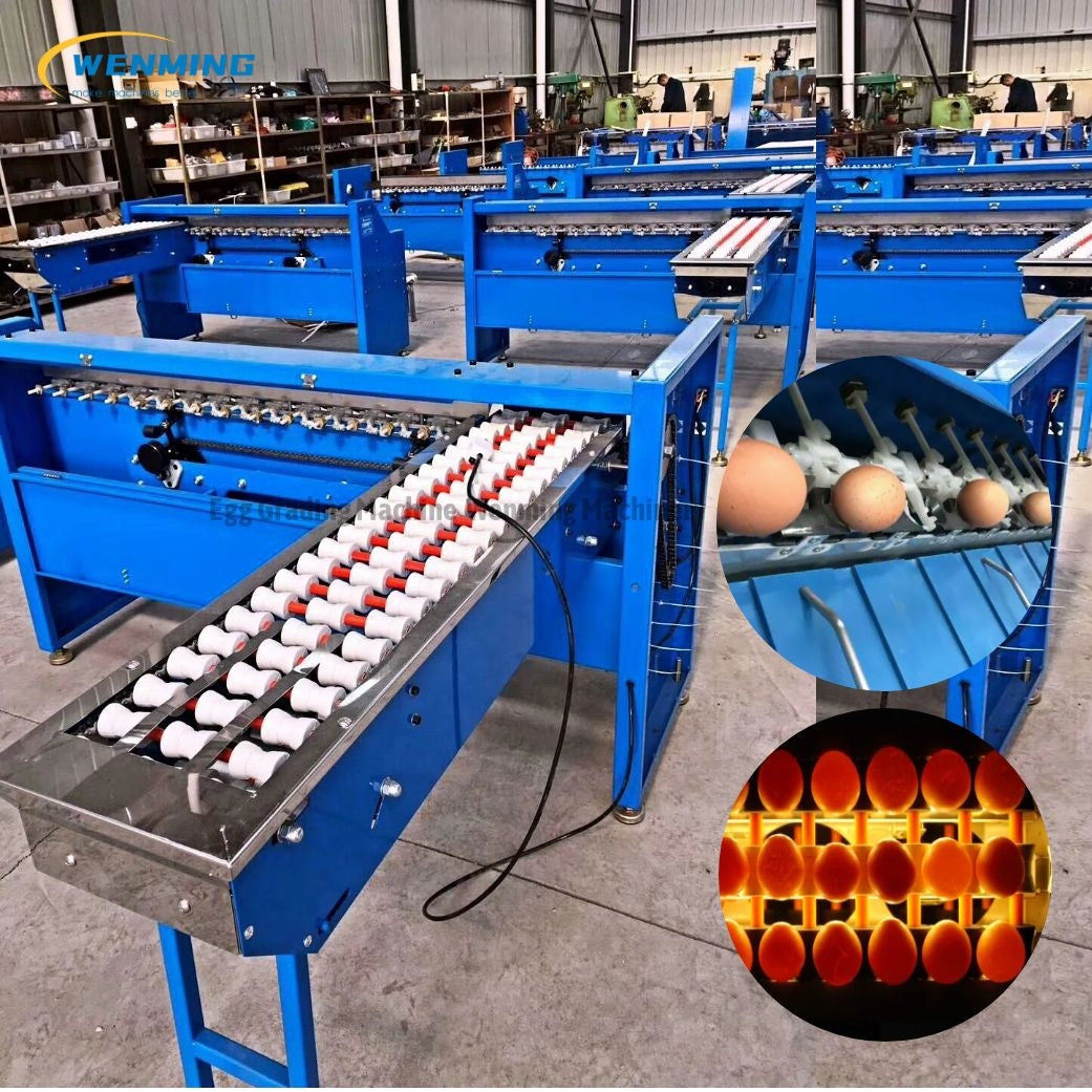 Egg Grading Machine for sale