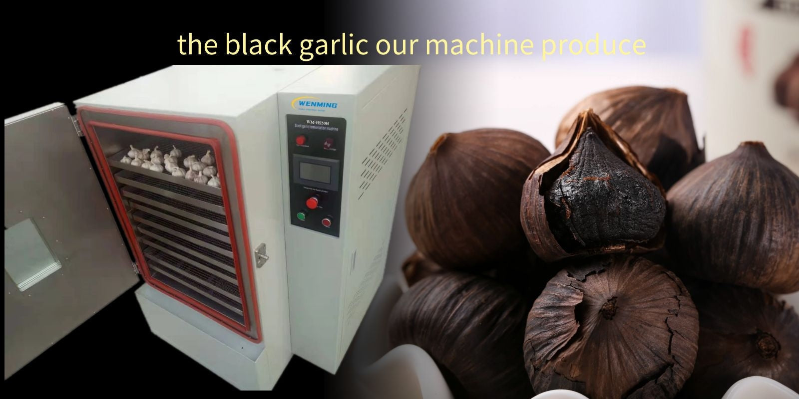 Garlic Fermenter Machine