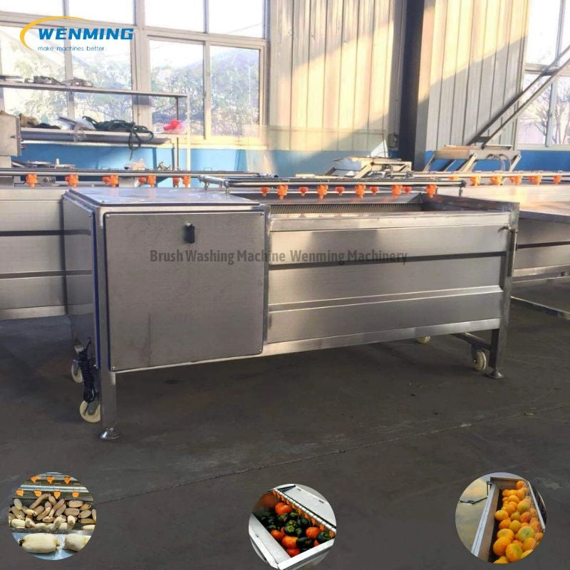 Commercial Potato Peeler Machine for Potato Washing & Peeling – WM machinery