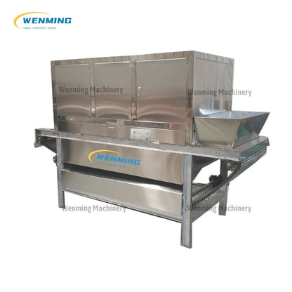 Garlic Cleaning Machine
