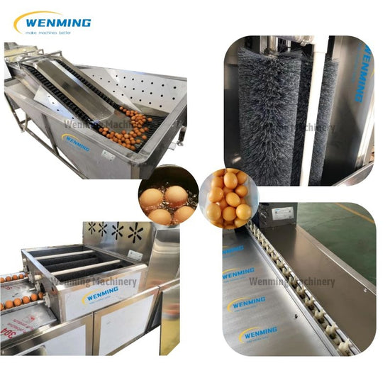 Automatic Egg Washing Machineautomatic egg washeregg washing equipment WM machinery