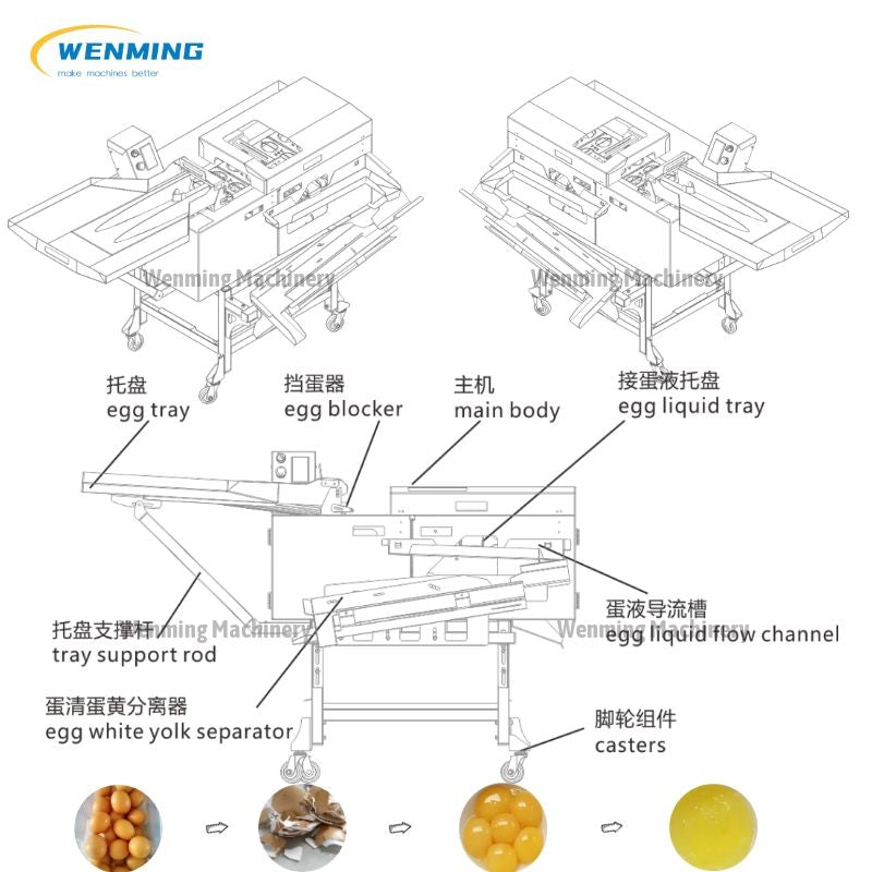 Egg Breaker Separator