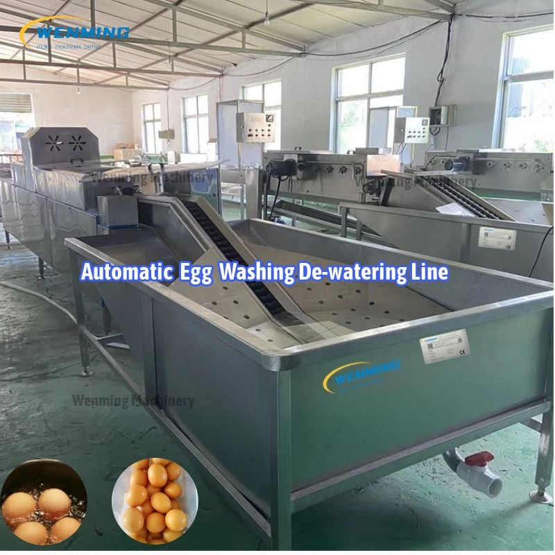 egg-cleaning-machine-Automatic