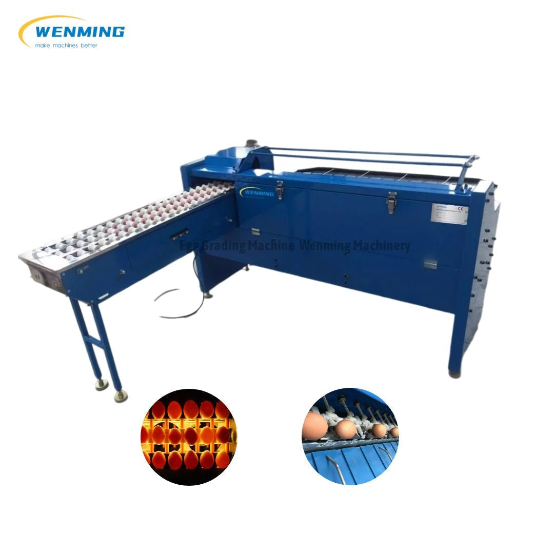 Automatic Egg Grading Equipment Egg Sorter Egg Grading Machine cost – WM  machinery