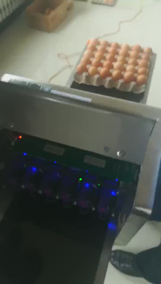 Egg-Printing-Machine-video