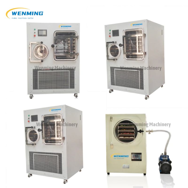 Small Machine Home Dryer Mini Food Vacuum Freeze Drying Machine Home Use  Vegetable Freezer Dryer With Pump For Sale