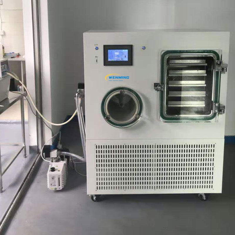 Small Freeze Dryer freeze drying equipment