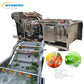 fruit-and-vegetable-washer-machine