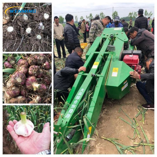 Garlic Root Cutting Machine Harvester