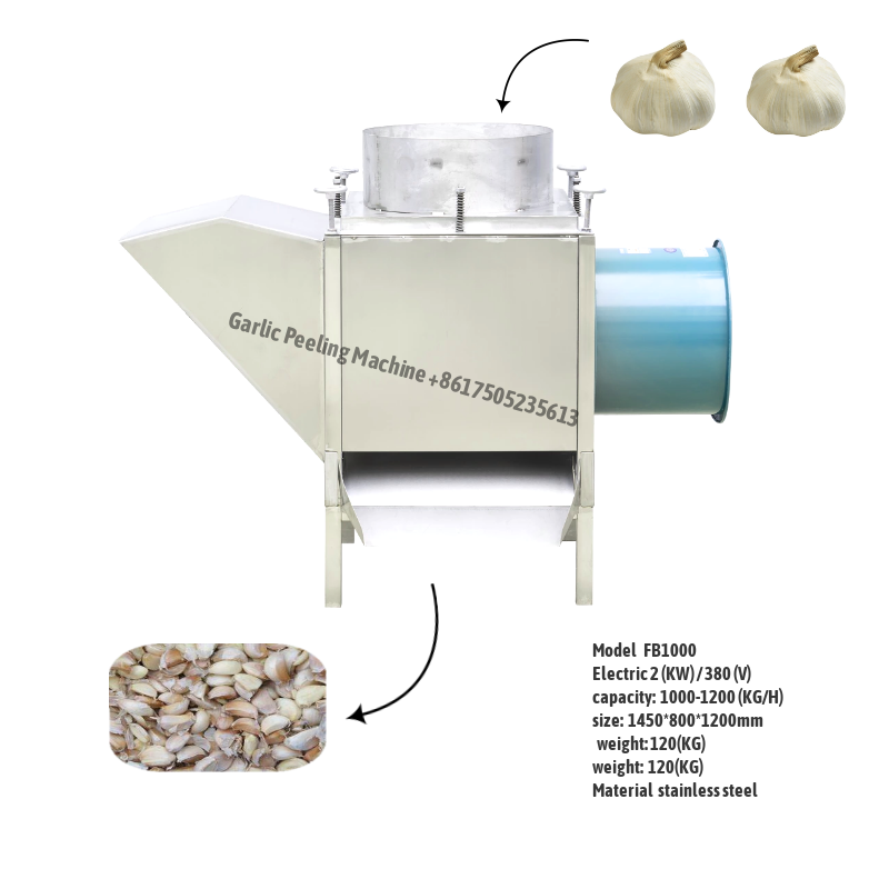 Garlic Peeling Machine - SS Garlic Peeling Machine Manufacturer