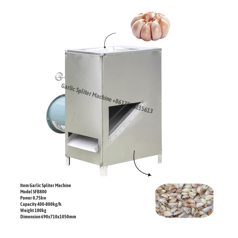 Garlic Separating Machine