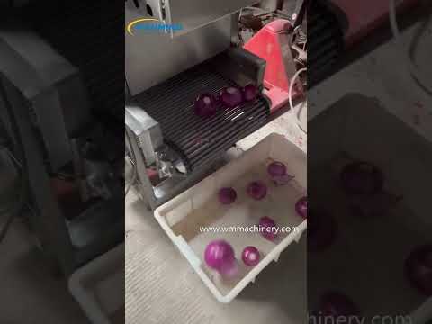 Onion Peeling Machine
