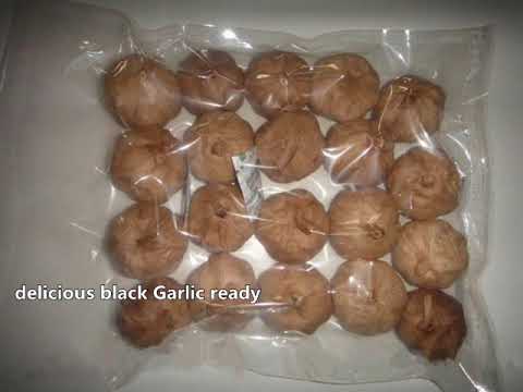 How to make black Garlic