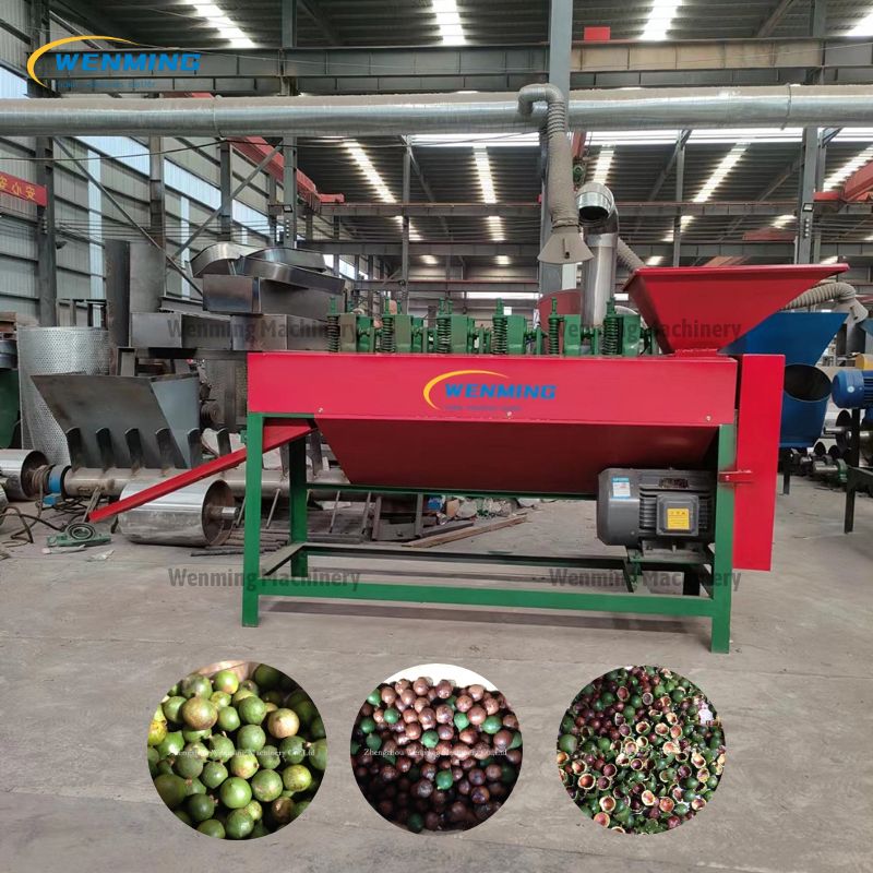 Macadamia peeling machine