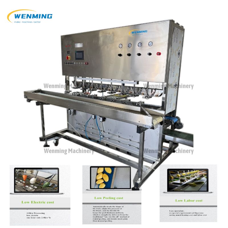 Industrial 16 Heads Mango Peeler Machine – WM machinery