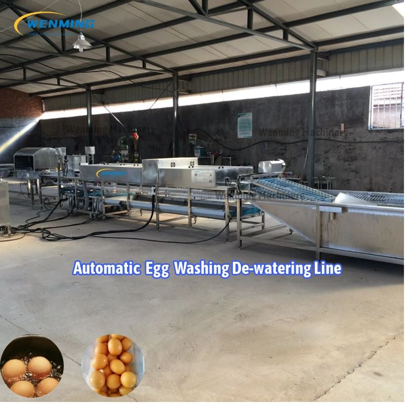 Egg Tunnel Washer